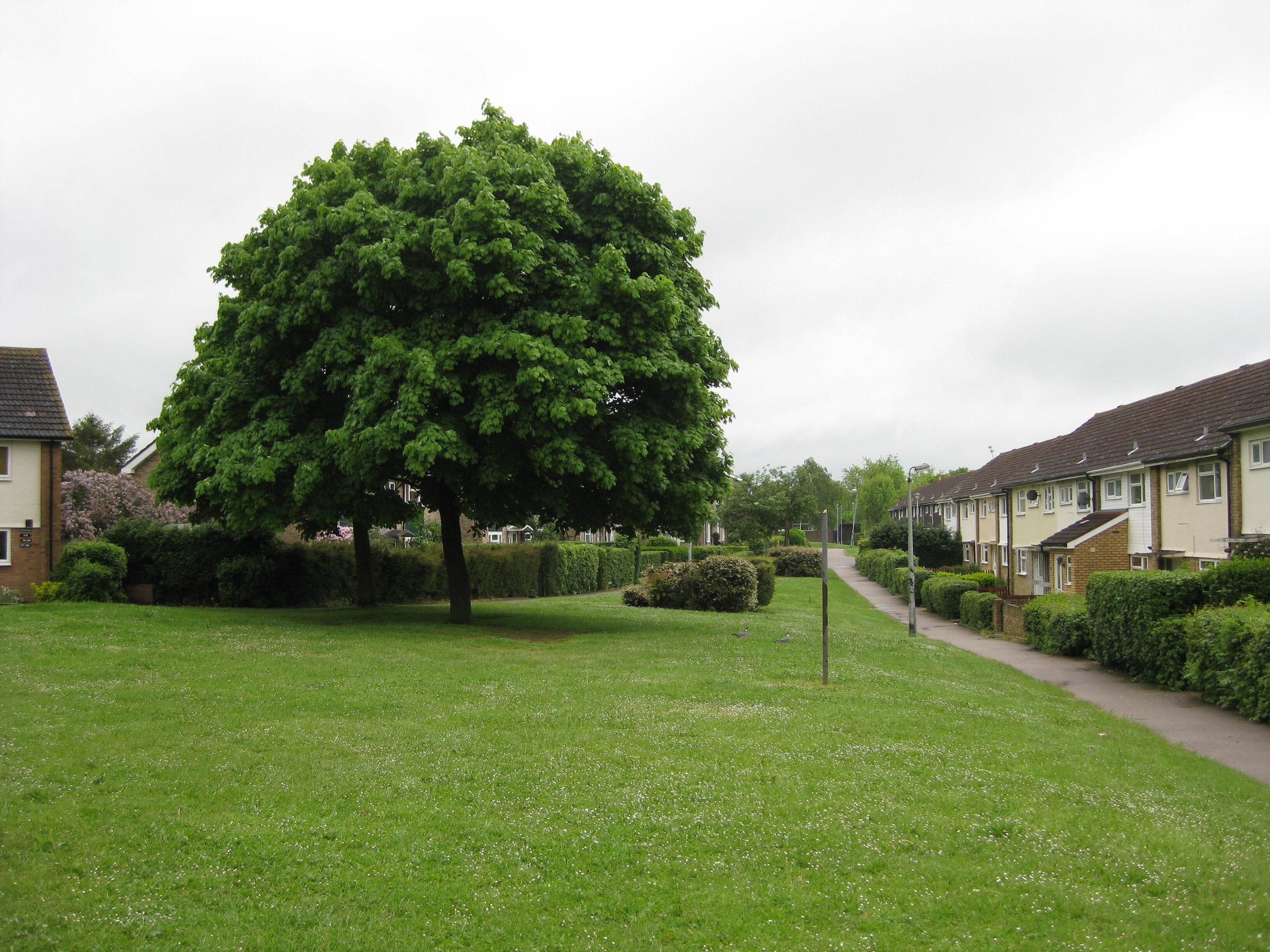 Park near Radburn way