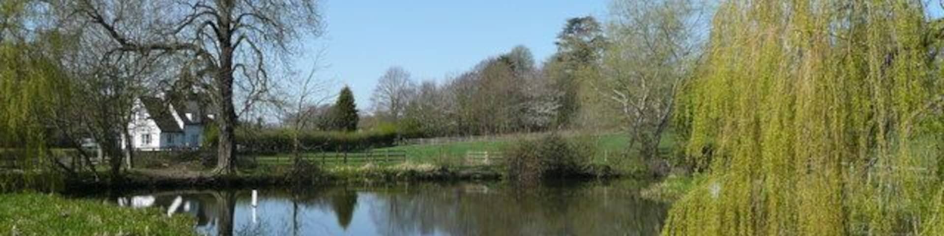 Pond at Willian View west from near The Fox, on a fine spring morning.