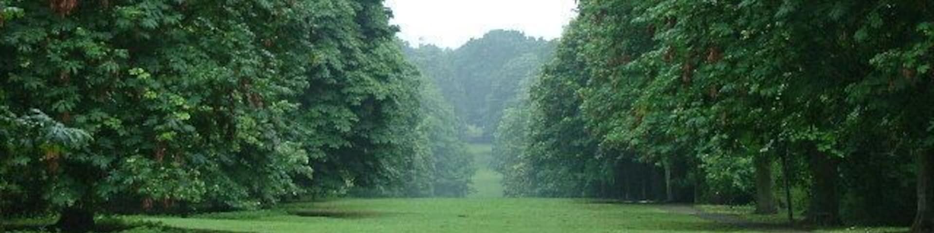 Un parque con un área central cubierta de césped, bordeado por árboles frondosos.