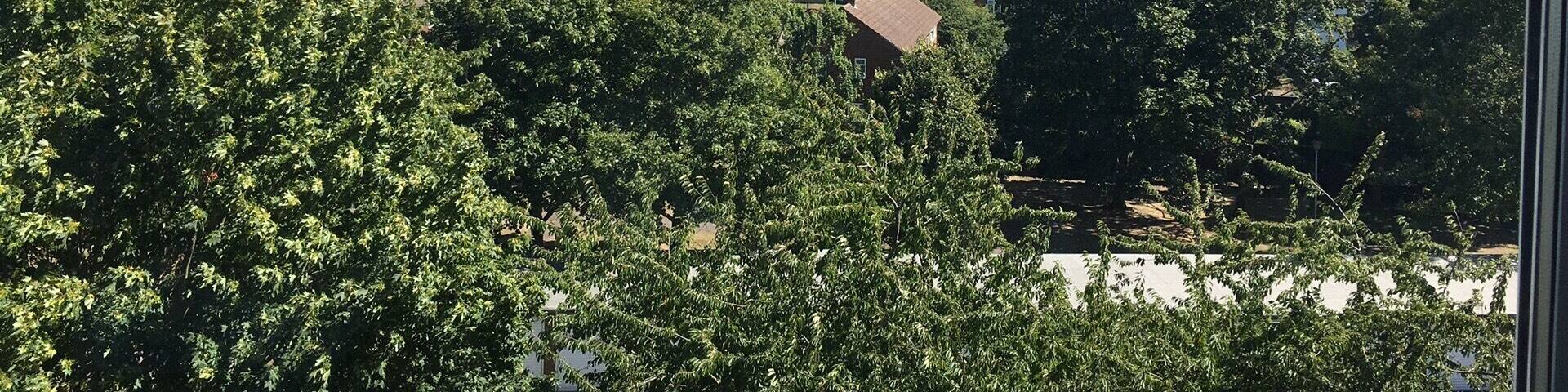 View from my window overlooking my hometown. Letchworth, England