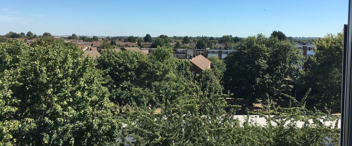 A residential area with houses, trees, and a clear blue sky.