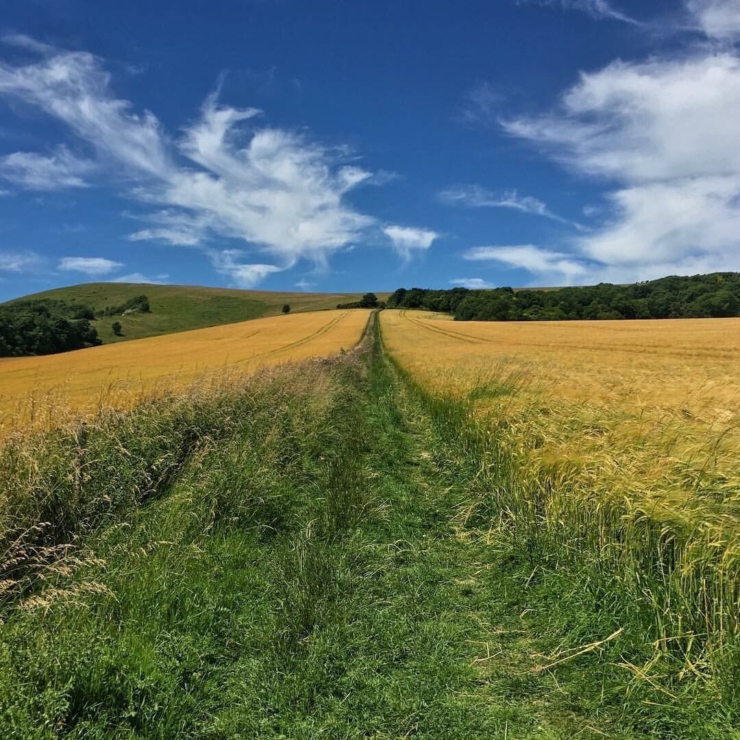 Somewhere roughly half way between between Glynde and Lewes. A beautiful hike of manageable length with some lovely pubs in which to refresh yourself when you get to Lewes 🍺 