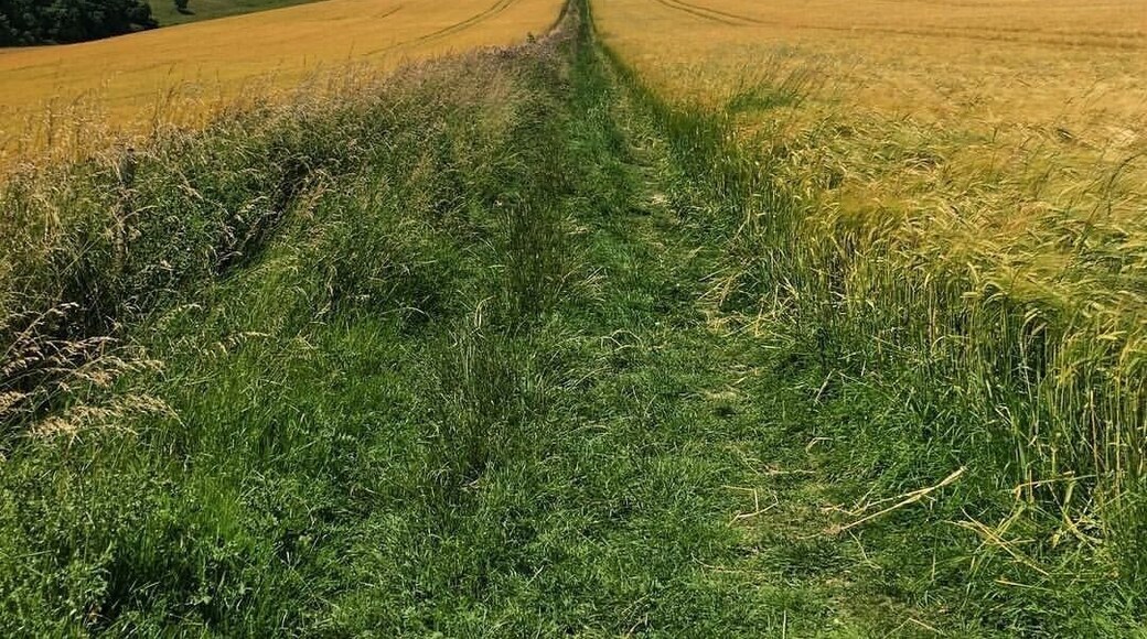 Somewhere roughly half way between between Glynde and Lewes. A beautiful hike of manageable length with some lovely pubs in which to refresh yourself when you get to Lewes 🍺