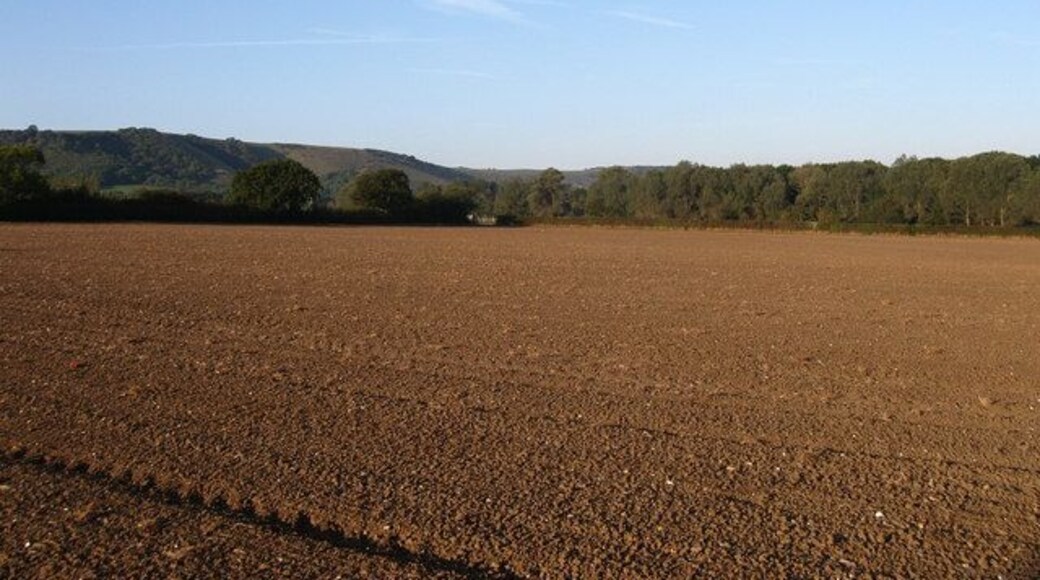 Rockett Field The name of the field according to the 1839 tithe map and still used today by current owners Plumpton College. Broad Bush Wood is in the distance.
