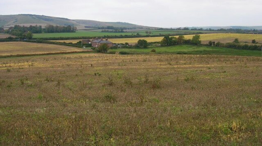 Farmland Around Spring Gardens The terraced cottages are named after Spring Ditch, a small tributary of Glynde Reach. Beddingham Hill is in the background whilst the hedge running left to right marks the A27.