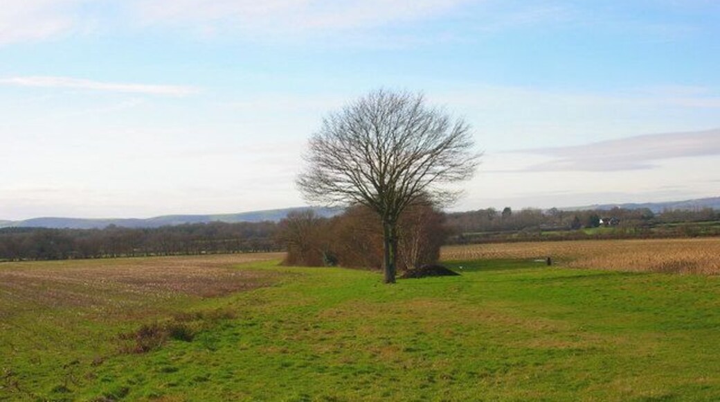 Footpath to Shortgate Taken from its junction with the Halland-Rowlands Wood footpath.
