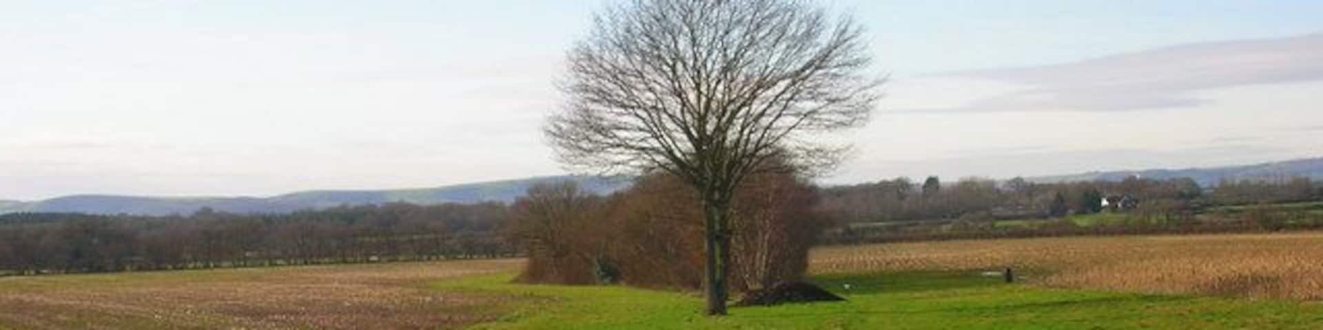 Footpath to Shortgate Taken from its junction with the Halland-Rowlands Wood footpath.