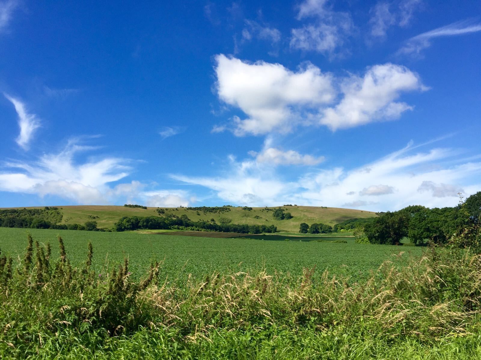 Beautiful rolling hills just outside Lewes, UK.  #lifeatexpedia