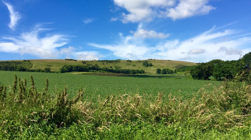Beautiful rolling hills just outside Lewes, UK. #lifeatexpedia