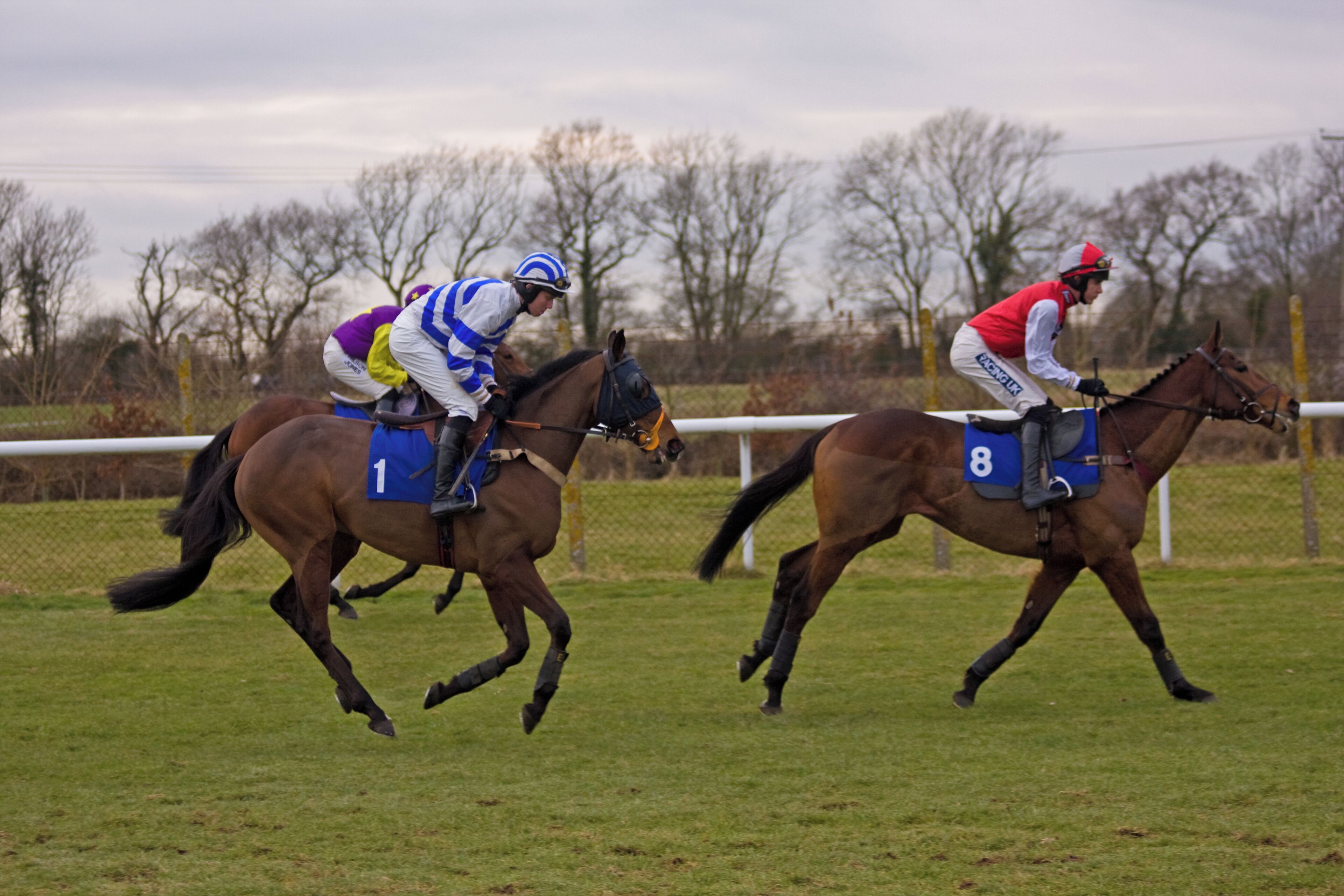 Gee Dee Nen & Samurai Way