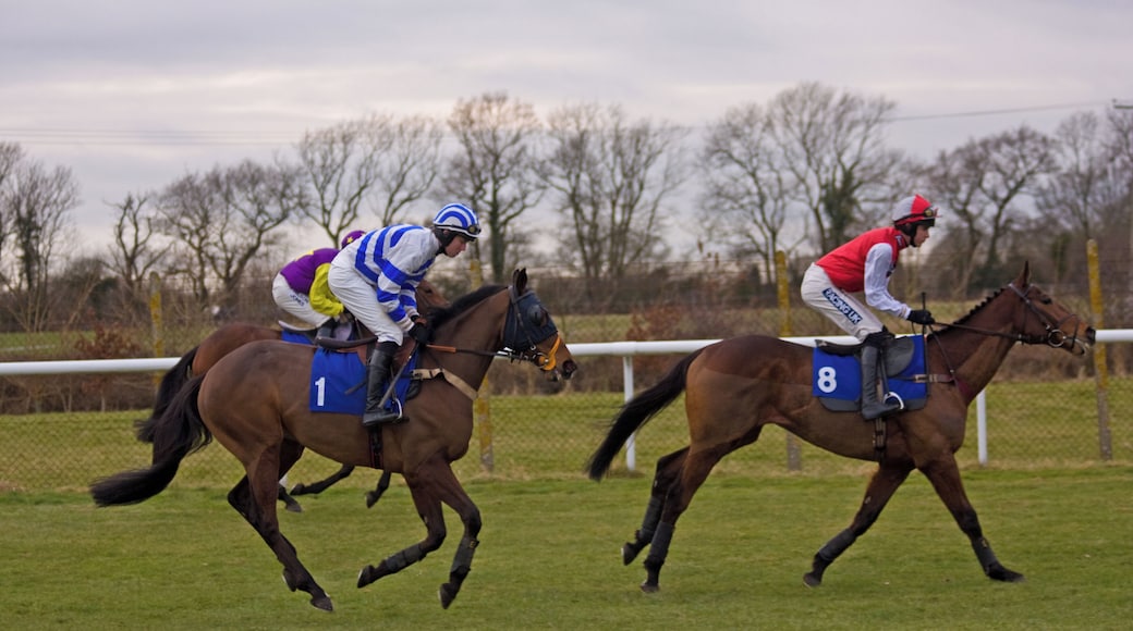 Gee Dee Nen & Samurai Way