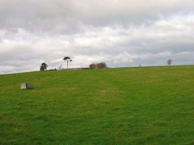Footpath to Slays Wood? According to the map it should be but no sign or entrance to the field could be found. The field layouts do not agree with the map either. Most of the land around here is owned by Hesmond Stud a horse breeders who have fenced out the fields and diverted other footpaths though they are not too well signposted coming from the direction of Old Whyley. This looks up towards the peak of a hill marked 73 on the OS Map.