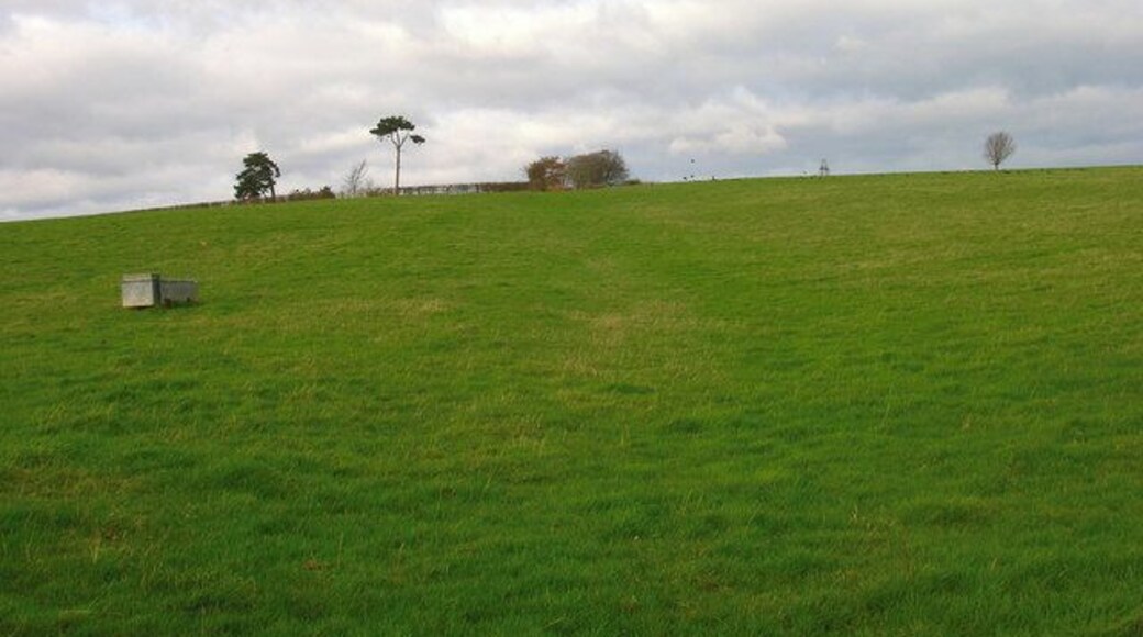Footpath to Slays Wood? According to the map it should be but no sign or entrance to the field could be found. The field layouts do not agree with the map either. Most of the land around here is owned by Hesmond Stud a horse breeders who have fenced out the fields and diverted other footpaths though they are not too well signposted coming from the direction of Old Whyley. This looks up towards the peak of a hill marked 73 on the OS Map.