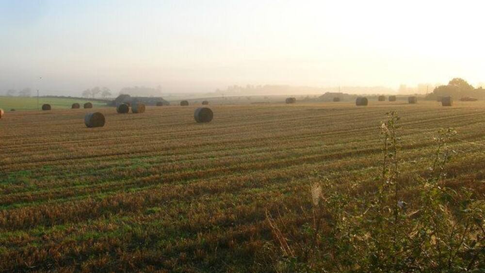 Ein Feld mit Heuballen und einem nebligen Horizont.