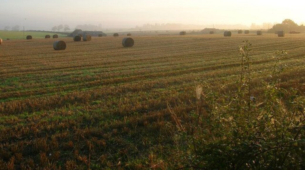 Loover Barn On the left hand side of the image partially obscured by the incoming mist which would blanket this part of the Low Weald for the next few hours.