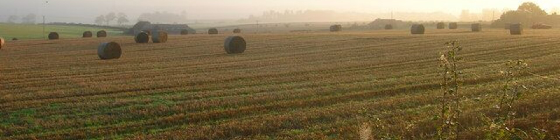 Loover Barn On the left hand side of the image partially obscured by the incoming mist which would blanket this part of the Low Weald for the next few hours.