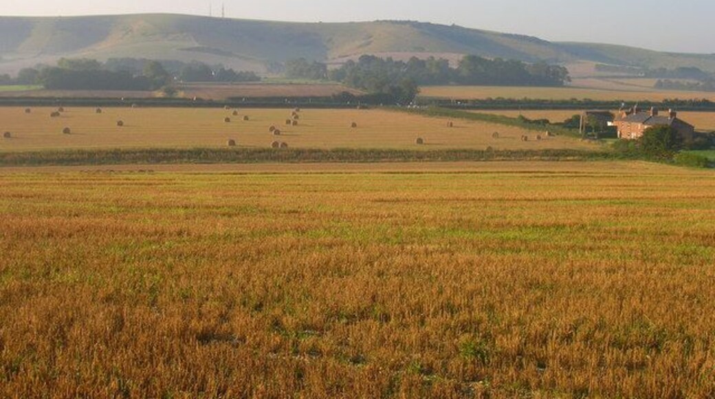 Spring Gardens Viewed from Mill Lane, the cottages are on Station Road the western of the southern routes out of Glynde. The first field boundary is actually Spring Ditch a small tributary of Glynde Reach whilst the second marks the course of the A27. Beddingham Hill is in the distance.