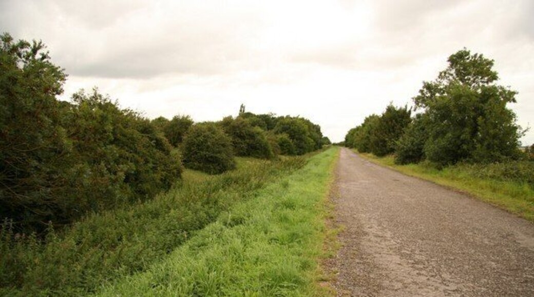 Car Dyke The Roman Car Dyke and old Martin South Drove