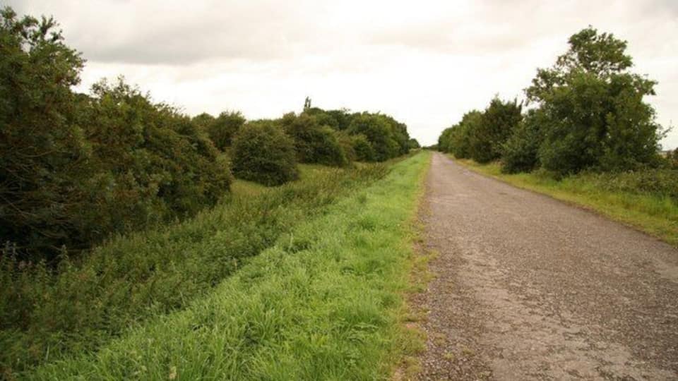 A rural road flanked by dense greenery and trees.