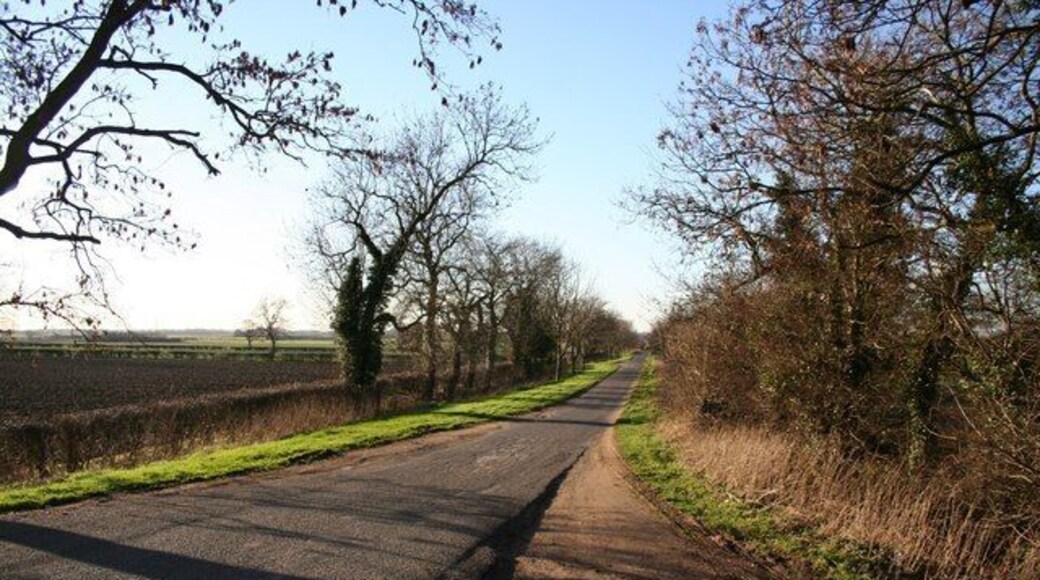Somerton Gate Lane Looking west along Somerton Gate Lane from the old railway crossing