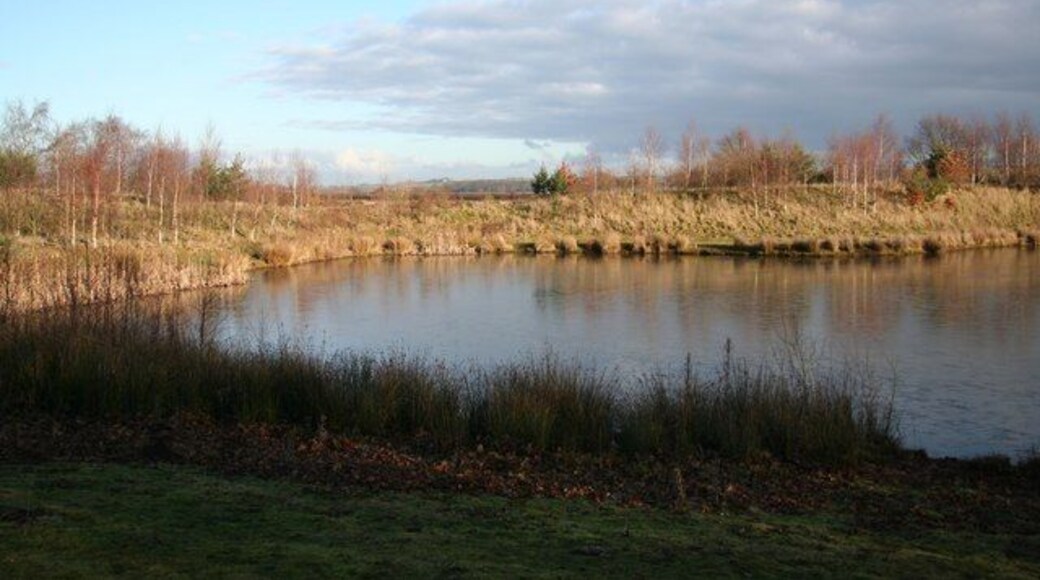 Pond at Burton Fen One of several ponds between the Fossdyke and Saxilby Road at Burton Fen