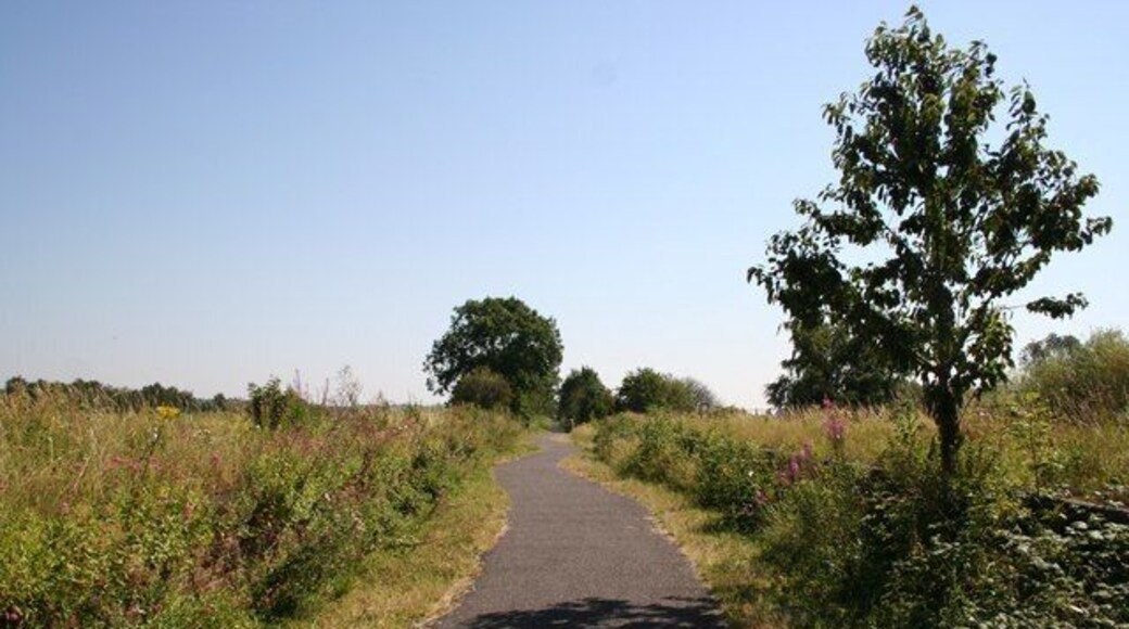 Water Rail Way Cycle path at the old Washingborough station, the overgrown platforms can still be seen either side