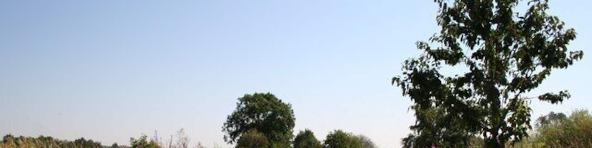 Water Rail Way Cycle path at the old Washingborough station, the overgrown platforms can still be seen either side