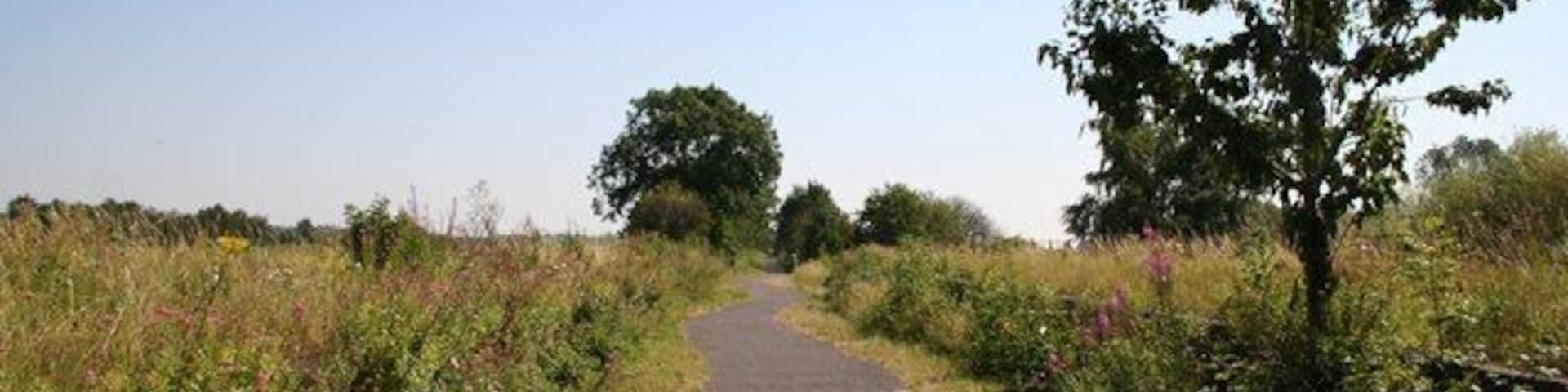 Water Rail Way Cycle path at the old Washingborough station, the overgrown platforms can still be seen either side