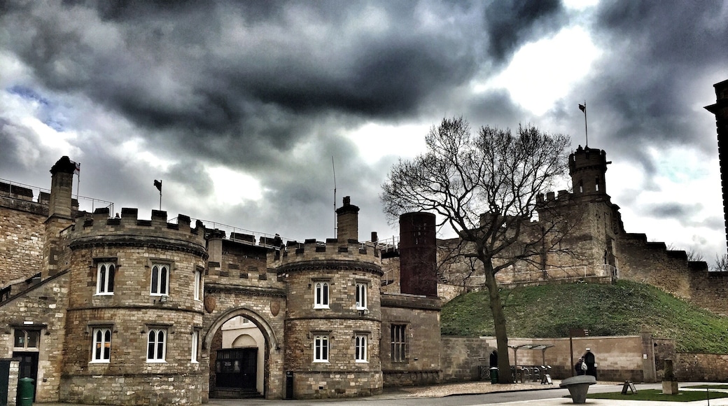 Home of one of the 4 original copies of the Magna Carta, Lincoln Castle is well worth the £2 entry.