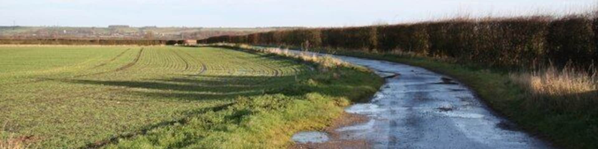 Odder Farm bridleway Bridleway to the Carltons from Odder
