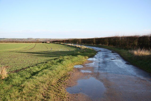 A rural road curving through a field with puddles and a clear sky.