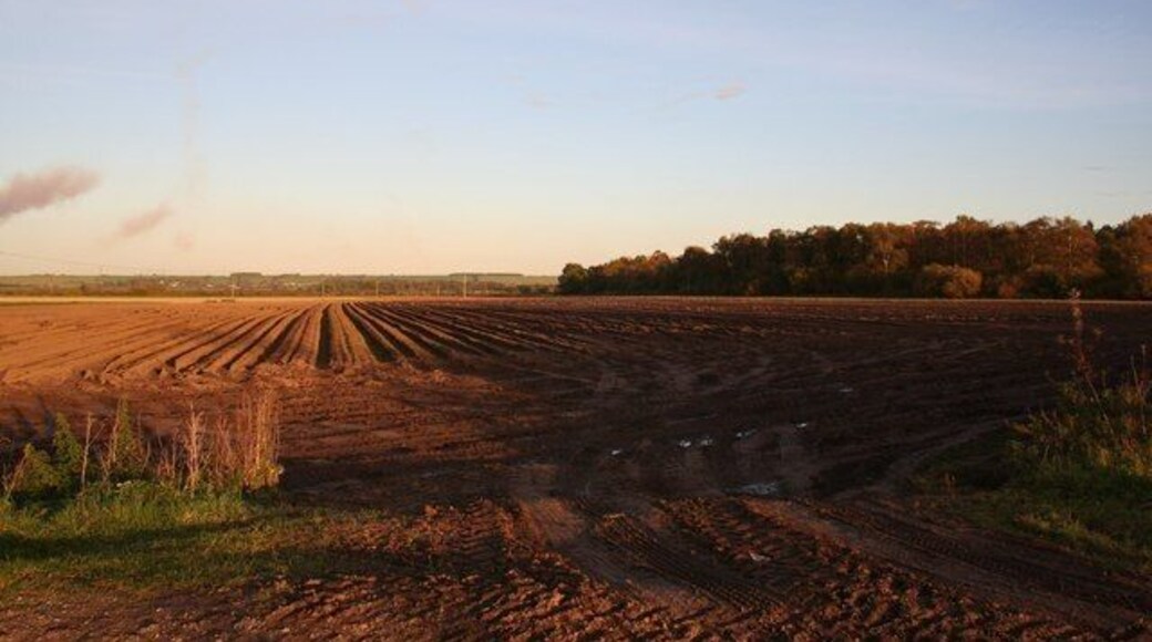 Odder View across fields towards the cliff and South Carlton from Odder