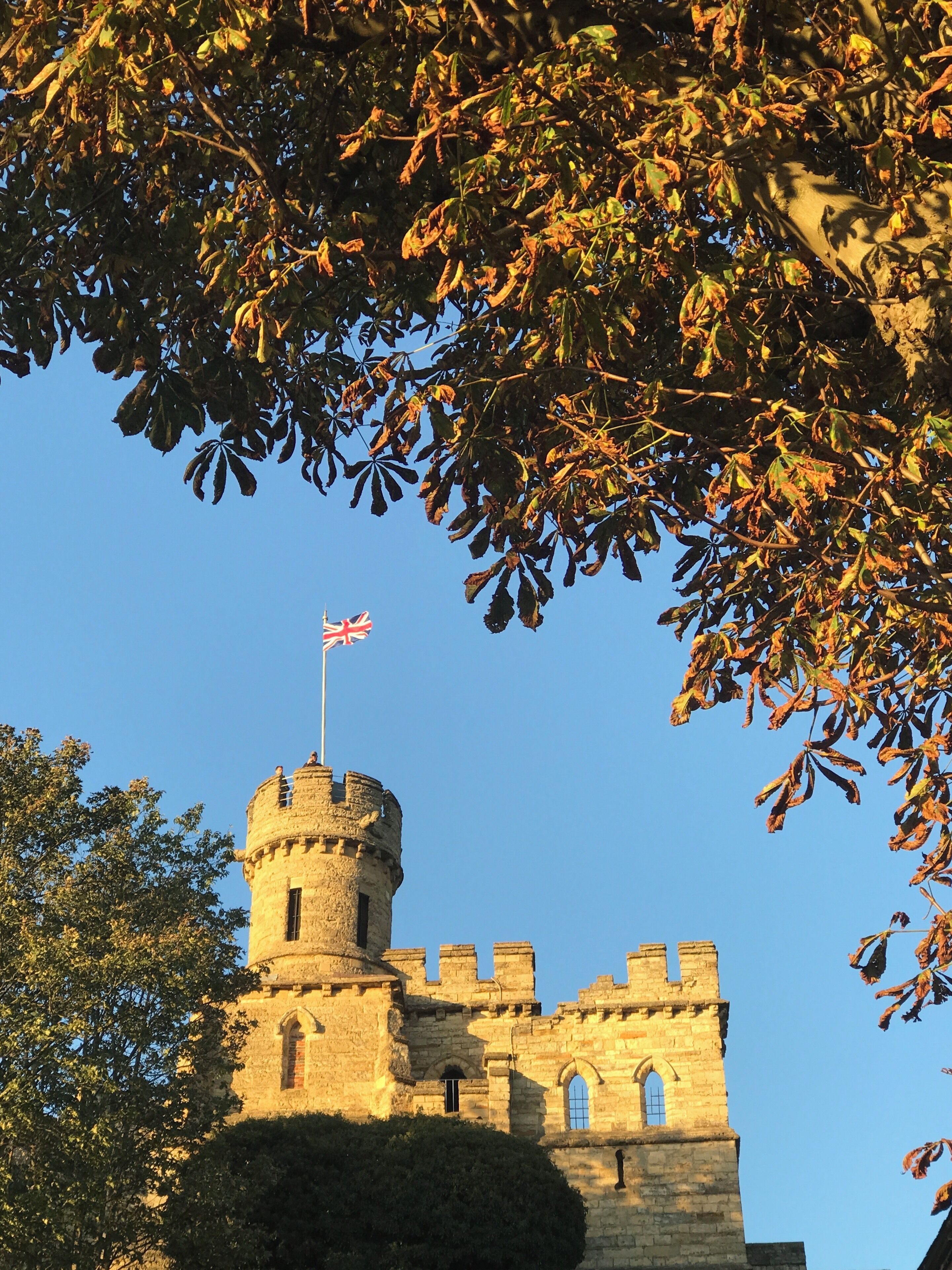 #MyBackyard in the autumn sunshine 🍂🇦🇽