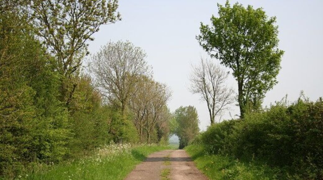 Footpath to Leadenham. Looking east from Stragglethorpe