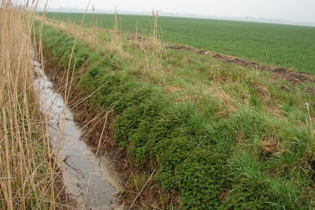 Drainage Ditch Alongside Field Just edging into the corner of the grid square.