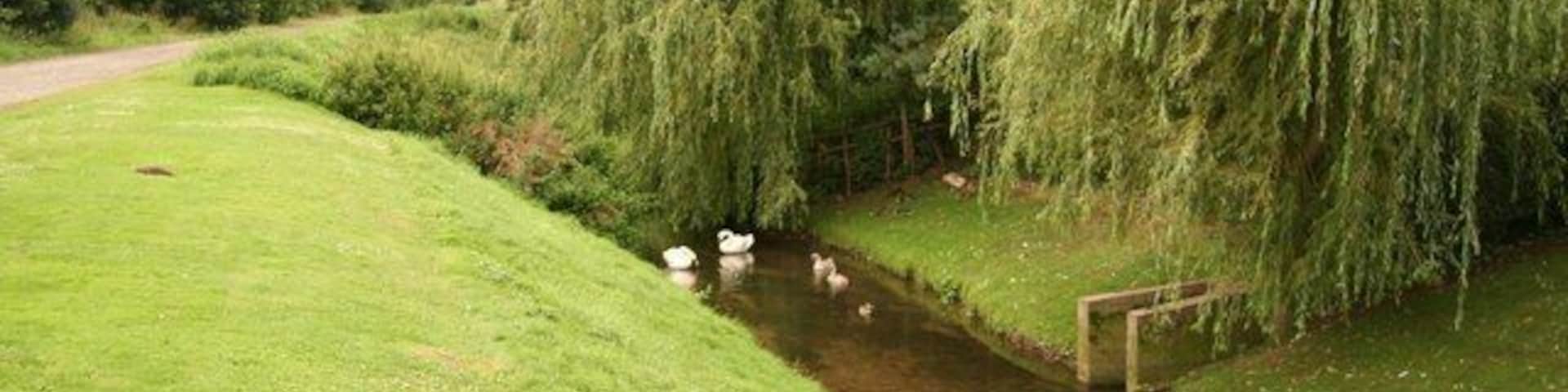 Car Dyke Ducks on the water at Martin