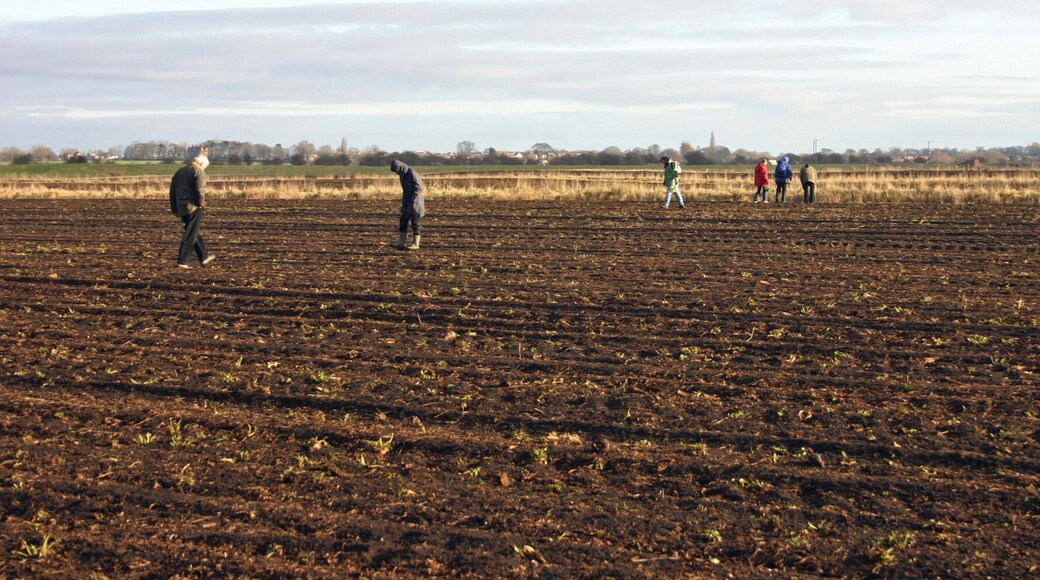Witham Valley Washingborough Looking East-Northeast on the edge of Washingborough down the Witham Valley