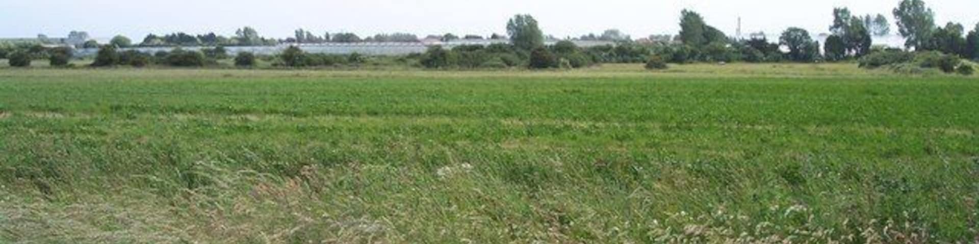 Glasshouses of Toddington. Part of Holyacre Farm according to the OS map. These are best seen from the railway line that passes closer. Taken from the bridleway between Lyminster and Poling