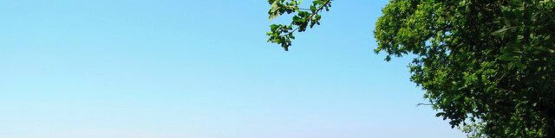 Looking towards Hobb's New Barn. Taken from the track that leads to Cudlow Barn, Hobb's New Barn can just be made out amongst the foliage at the far end of the field.