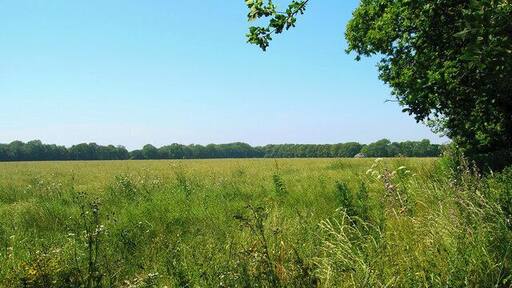 Looking towards Hobb's New Barn. Taken from the track that leads to Cudlow Barn, Hobb's New Barn can just be made out amongst the foliage at the far end of the field.