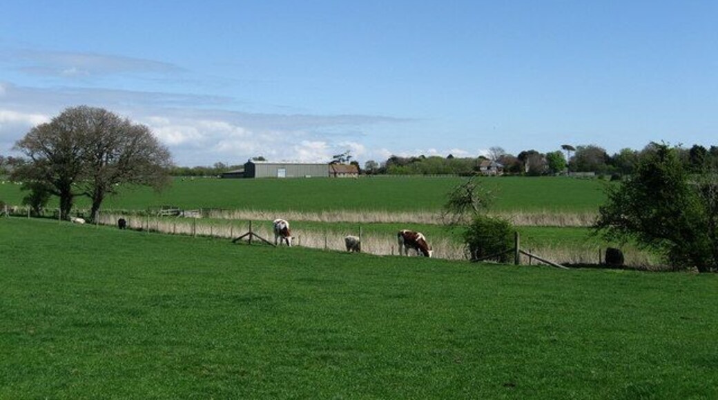 Looking Towards Broomhurst Lodge The lodge can just be seen on the centre right. Taken from the footpath that links The Causeway with Lyminster.