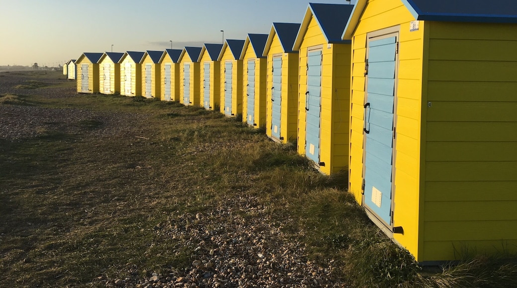 Littlehampton beach huts. There is a row going the other way all green.