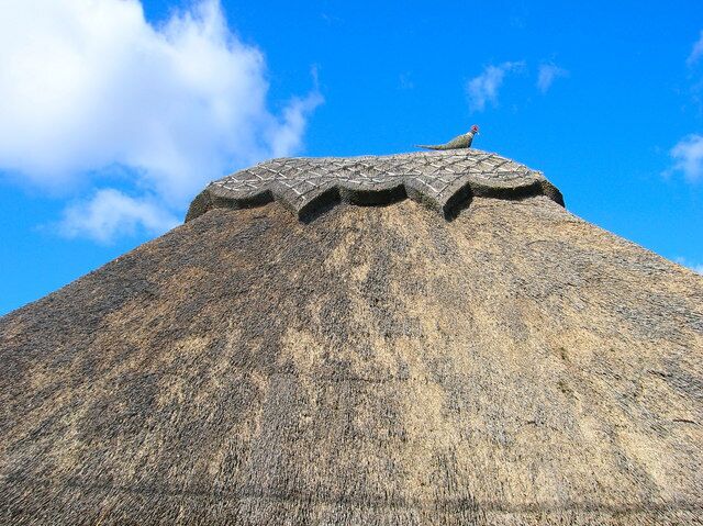 Thatched Roof, Amberley Court. Closer view of the roof seen here, 733309, the bird is part of the thatch. Amberley Court is a bed and breakfast with some rooms in converted thatch barns.
