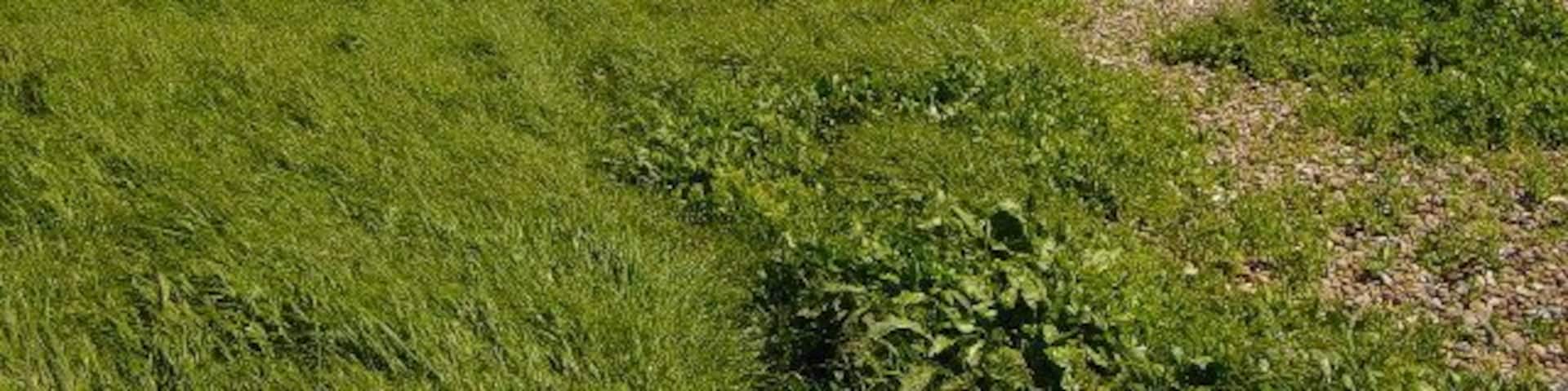 Beach between East Preston and Rustington. Looking east towards East Preston