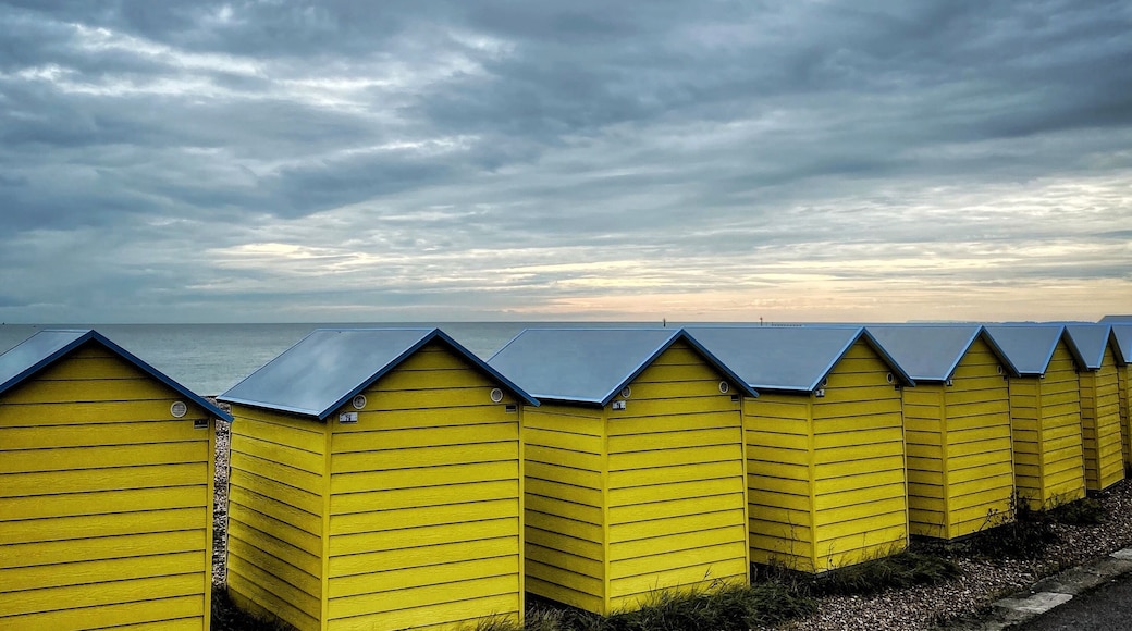 Wonderful coloured Beach Huts on the coast at Littlehampton