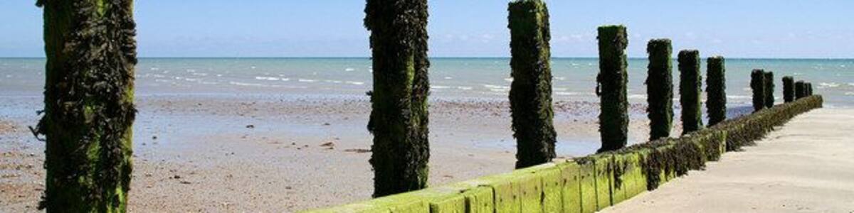 Groyne, Atherington Beach