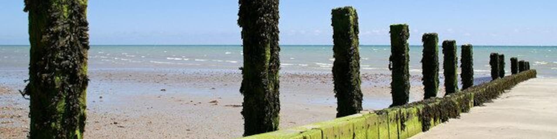 Groyne, Atherington Beach