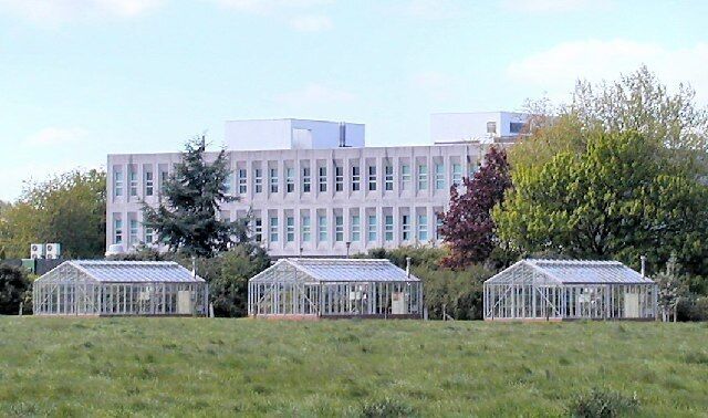 A modern building with large windows and three glass greenhouses in a grassy field.