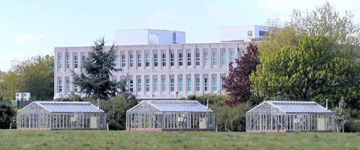A modern building with large windows and three glass greenhouses in a grassy field.