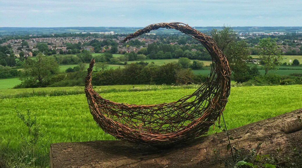 A beautiful sculpture of Outwoods overlooking Loughborough town